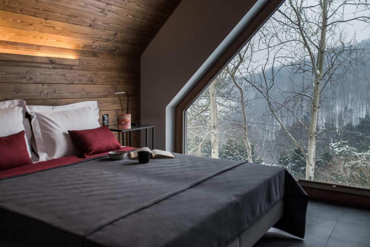 Aspen Deluxe Residence & Aspen Cottage Międzybrodzie Bialskie Kültér fotó