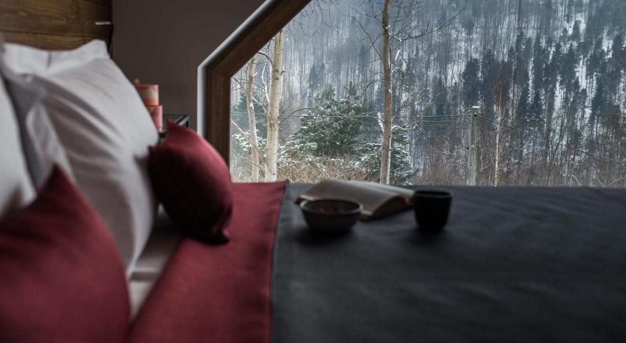 Aspen Deluxe Residence & Aspen Cottage Międzybrodzie Bialskie Kültér fotó